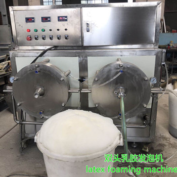 溫州客戶成功定制乳膠發(fā)泡機(jī)一臺